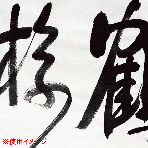 ※専用出品※観峰条幅書範 ２冊セット　条幅検定画仙紙50枚 観峰条幅書範（慶賀：春夏） | 条幅用具 | かきぞめ特別頒布会 | 日本