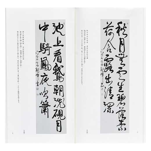 1- 計2冊 揃い 観峰条幅書範 慶賀・春・夏 秋・冬・教訓 非売品 原田観峰 日本習字教育連盟 ヤケ有 折り目有 004008 日本習字 原田観峰書観峰条幅書範 慶賀春夏・秋冬教訓(2冊セット